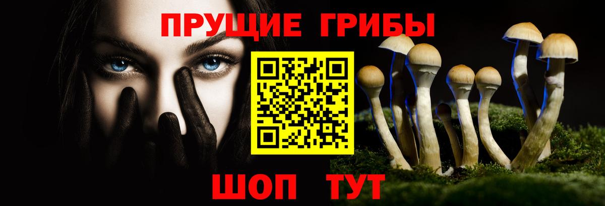 Псилоцибиновые грибы Cubensis Люберцы